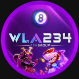 wla234-b.com LOGO